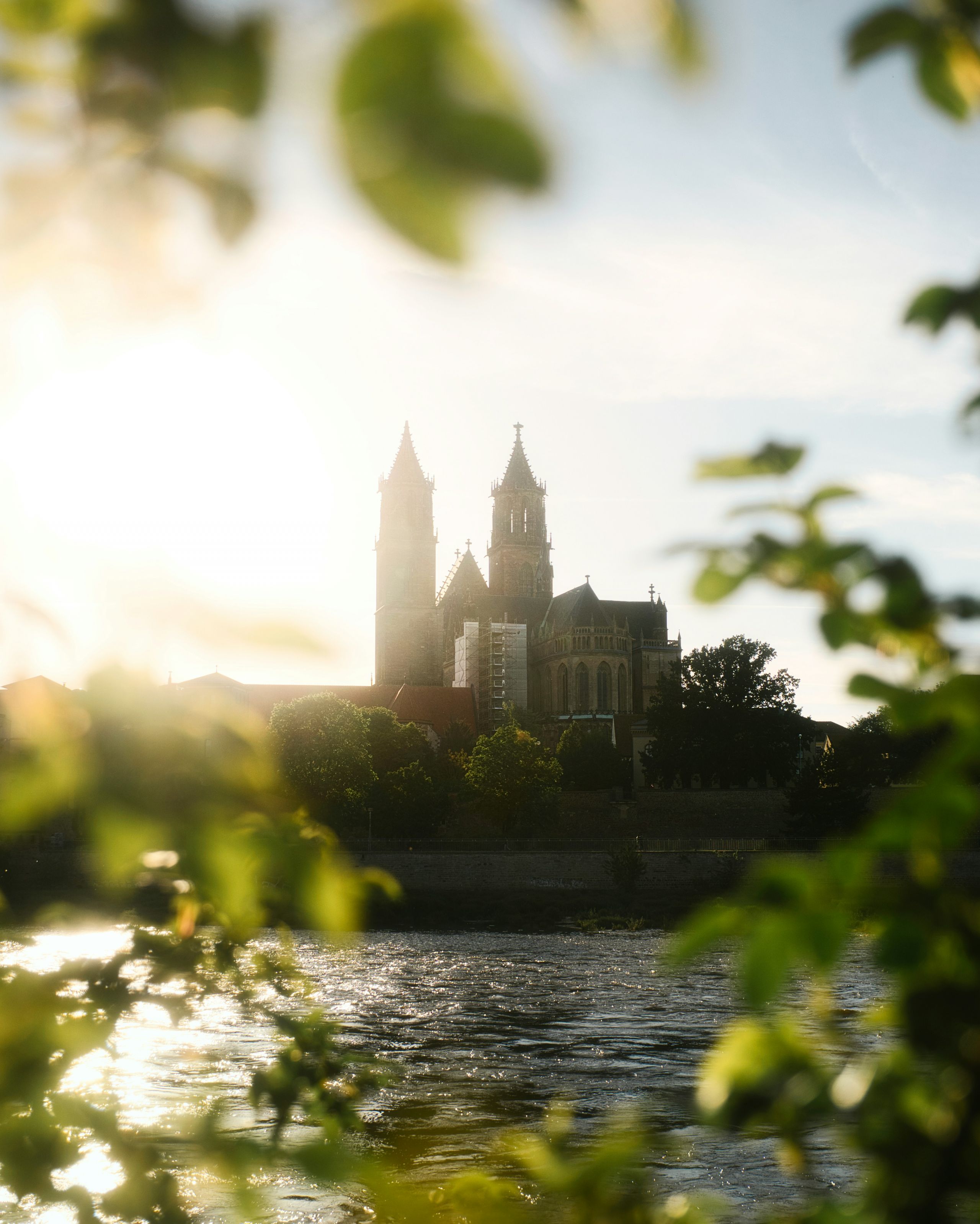 Magdeburger Dom im Sonnenlicht, Blick durch Blätter am Elbufer, stimmungsvolle Abendaufnahme.